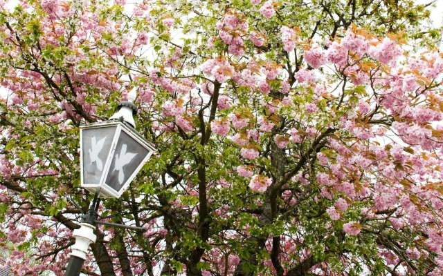 The Popinjay Hotel & Spa