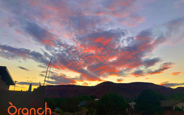 Oranch House, Studio & Wilderness