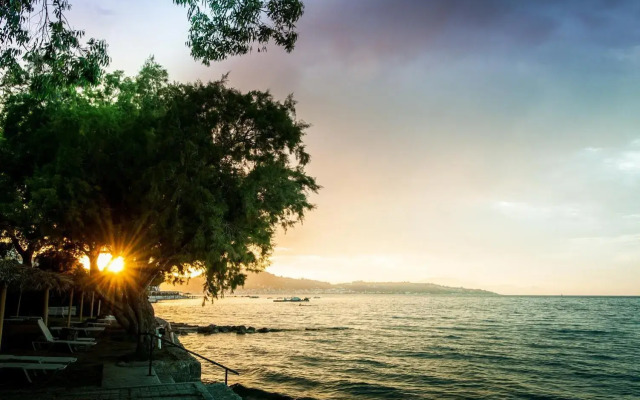 Mimoza Beach