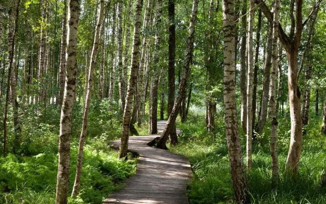 Centra apartamenti Elīza