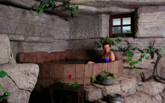 Winery and Spa Starosel