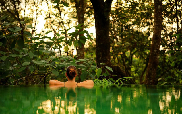Wayanad Wild Rainforest lodge by CGH Earth