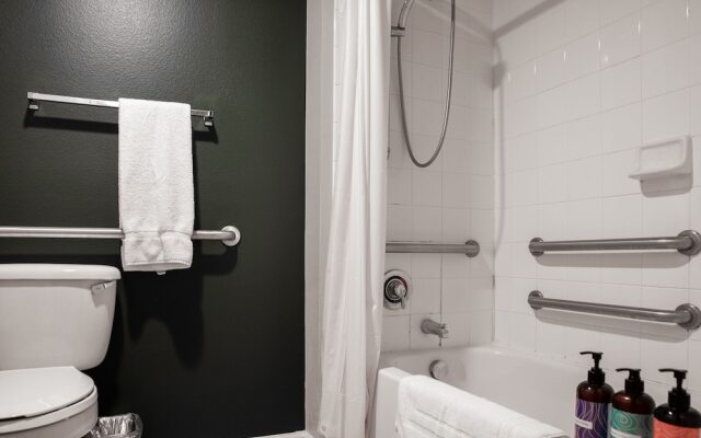 Sleek Apts in West Campus by Wanderjaunt