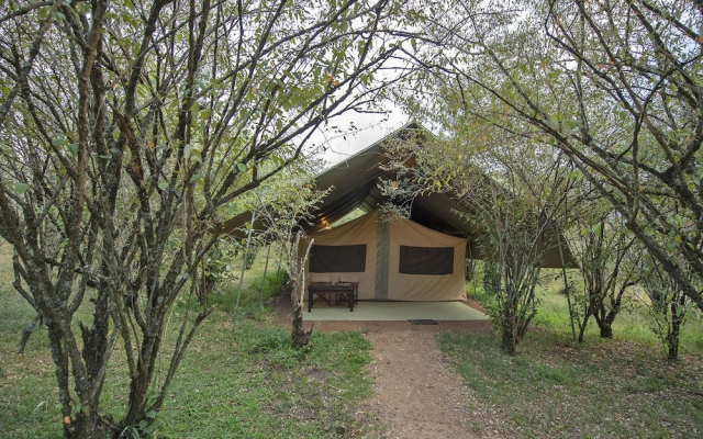 Olgatuni Camp