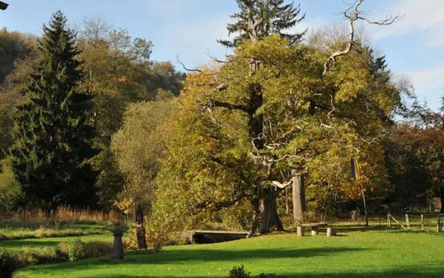 Holiday home Le Moulin de Martinrive