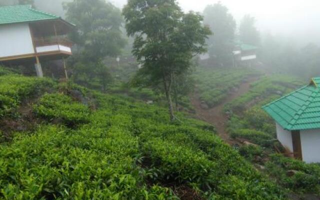 Vythirihills Nature Resort