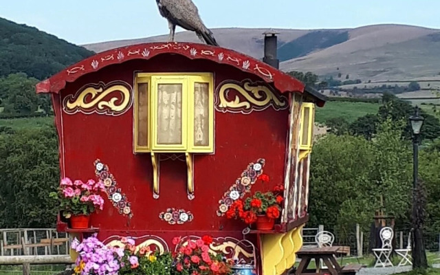 Rosie Traditional Gypsy Wagon
