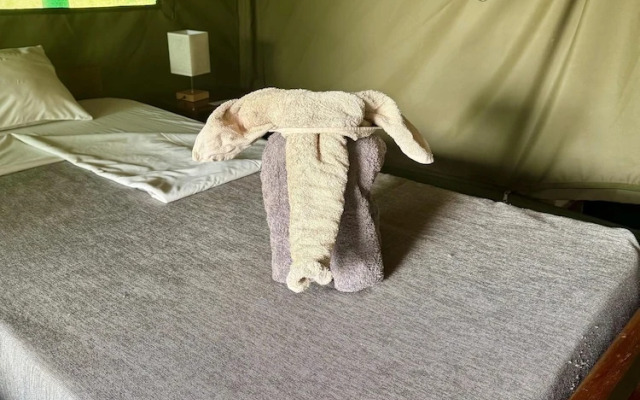 Bwana Tembo Safari Camp