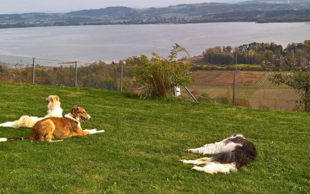 Swiss Borzoi House