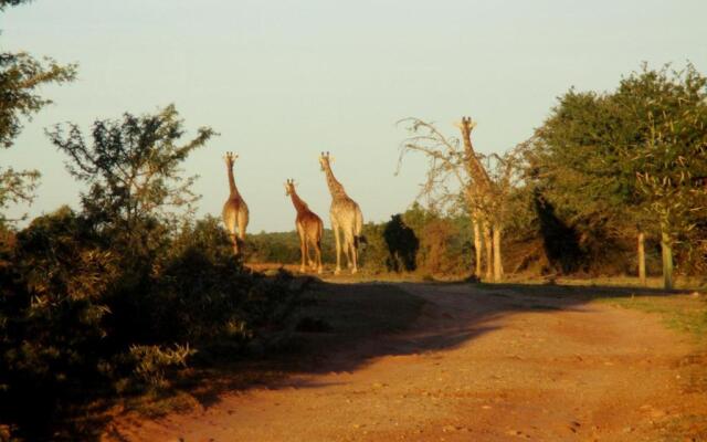 Valley Bushveld Country Lodge