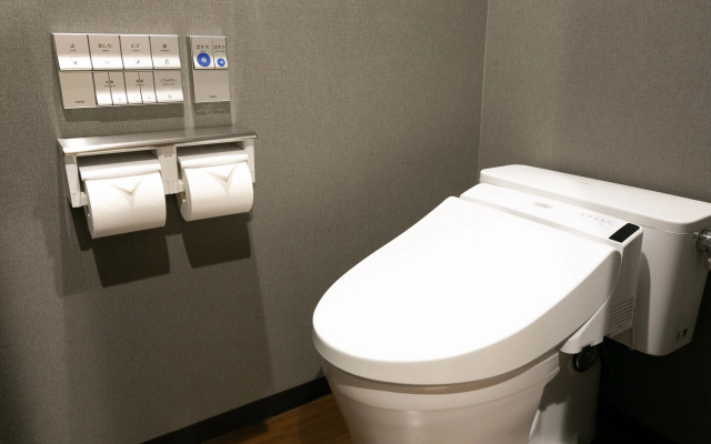 THE CELECTON Matsumoto