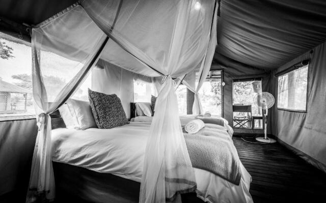 Shindzela Tented Safari Camp