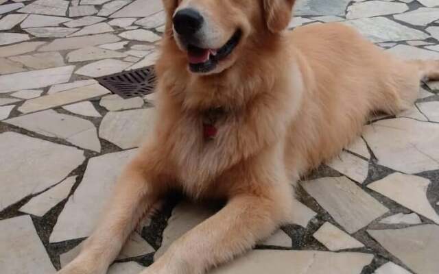 Pousada Sol do Araçá