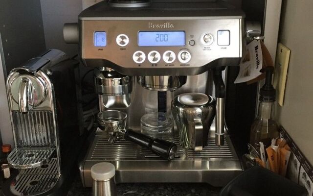 Prince Albert Provincetown