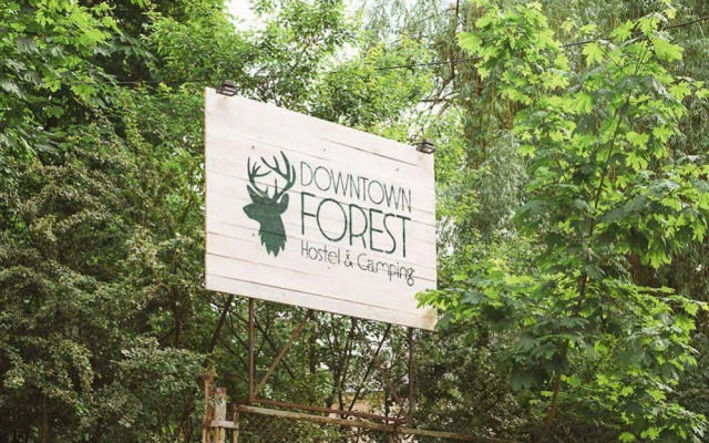 Downtown Forest Hostel  Camping