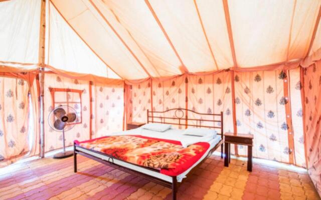 Golden Marigold Desert Camp