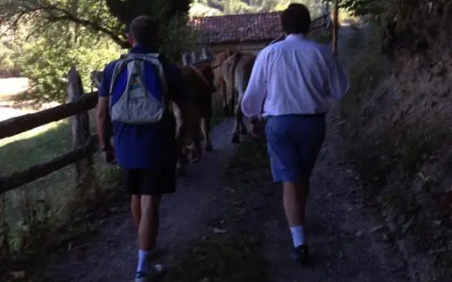 Apartamentos Casa María Juanín