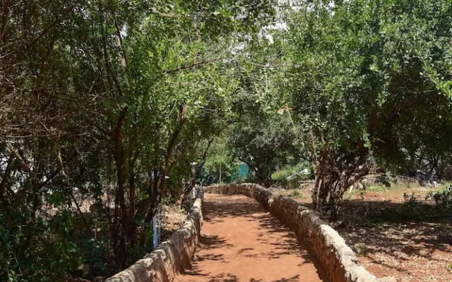Olkeri chalete