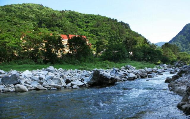 White Village Pension