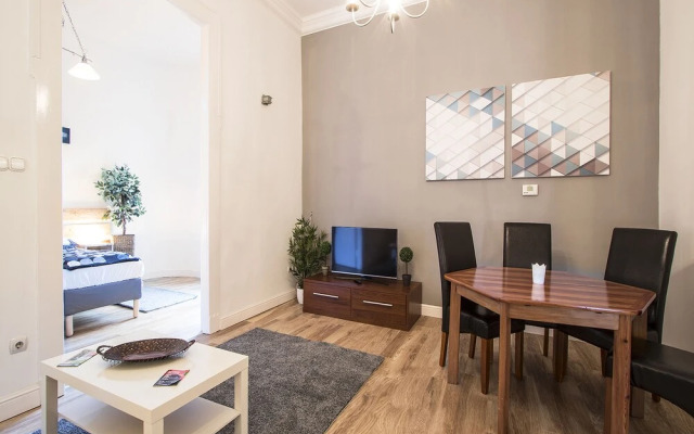 Large Central Apartments Rippl Rónai