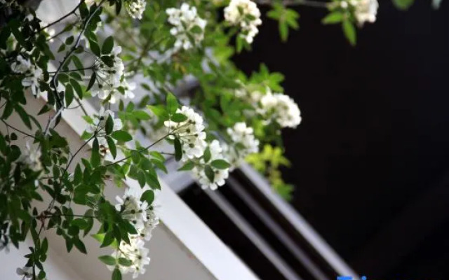 Yiju Lakeside Courtyard Hotel