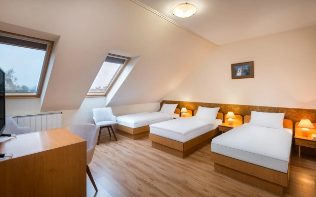 Hotel Platan
