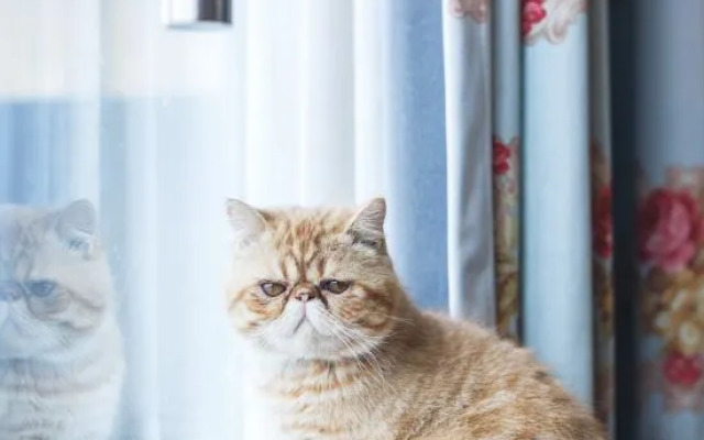 Xinmu Lanlian Boutique Hotel