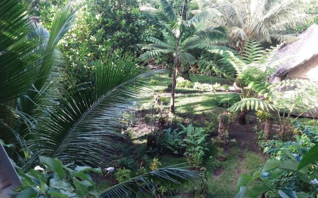 Tanna Eco Venture Bungalow