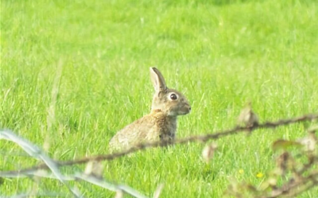 Polden Vale Bed and Breakfast