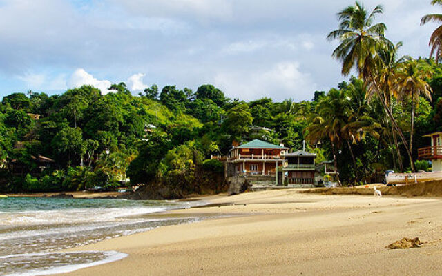 The Naturalist Beach Resort