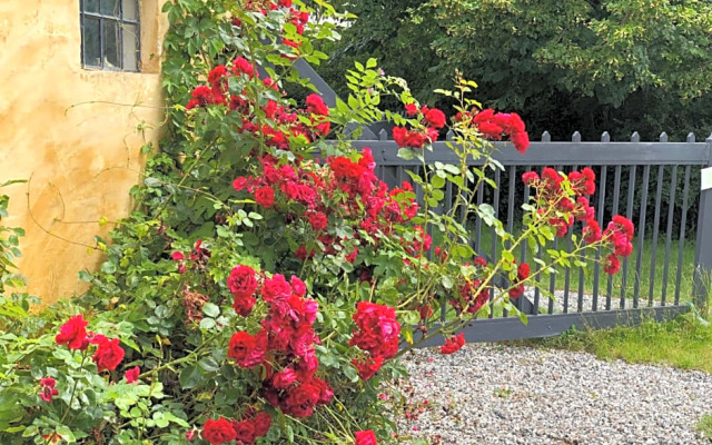 Vangeled Gaard B&B