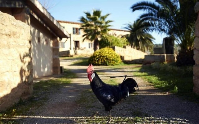 Finca Sos Ferres D'en Morey