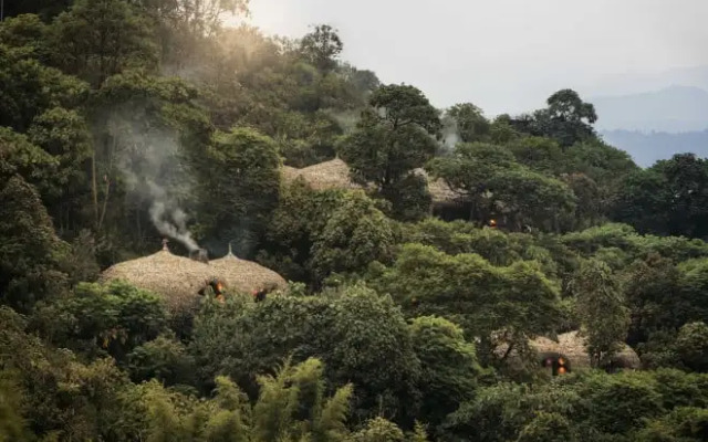 Wilderness Bisate