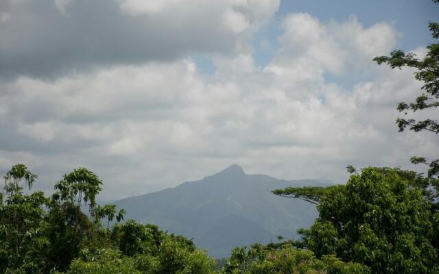 Kandyan Glory