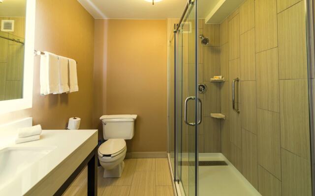 Holiday Inn Chicago SW-Countryside ConfCtr by IHG