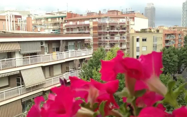 Freemove Sardenya