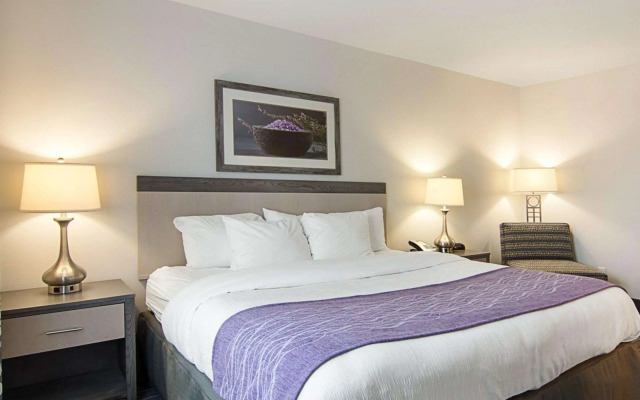 Comfort Inn Williamsburg Gateway