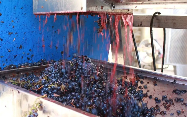 Antica Grancia di Quercecchio