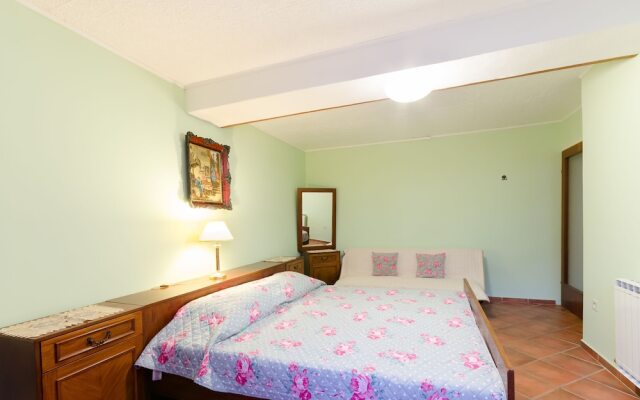 Apartments and Room Mirjana