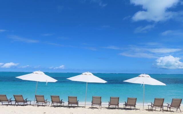 The White House TCI