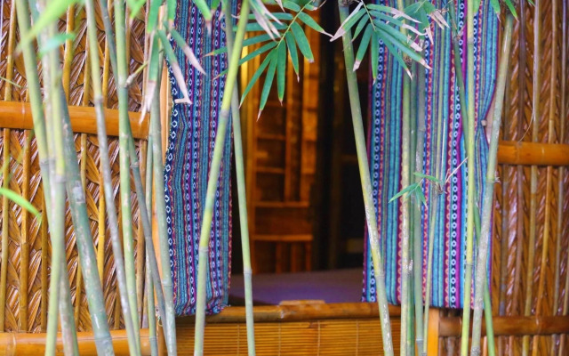 Under the coconut tree - Hostel