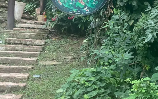Pousada Bosque Toque Toque B&B