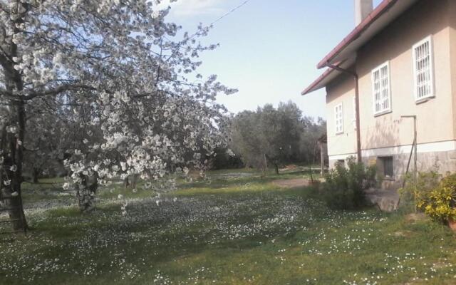 Casa Vacanze La Tartaruga