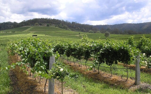 Anja's Place in the Hunter Valley