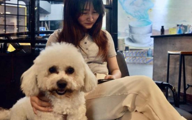 Comma Travel International Youth Hotel