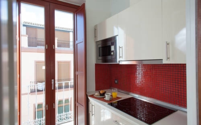 Luxury Apartments Seville Center