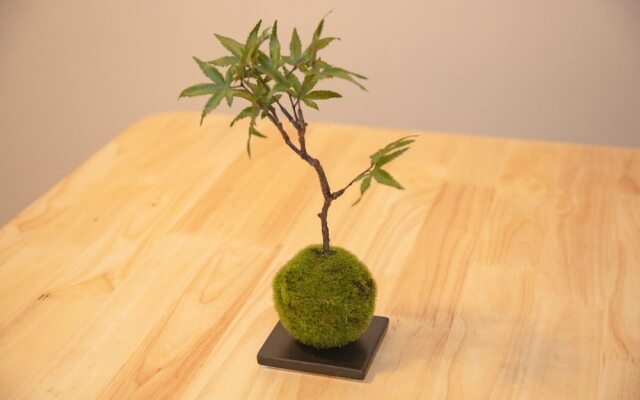 Togoshiginza Residence 201