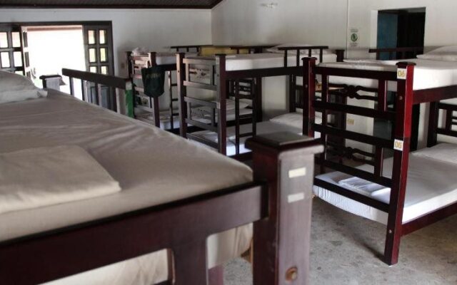 Drop Bear Hostel