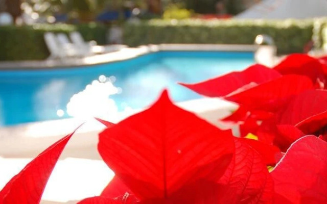 Camping & Bungalows Estanyet