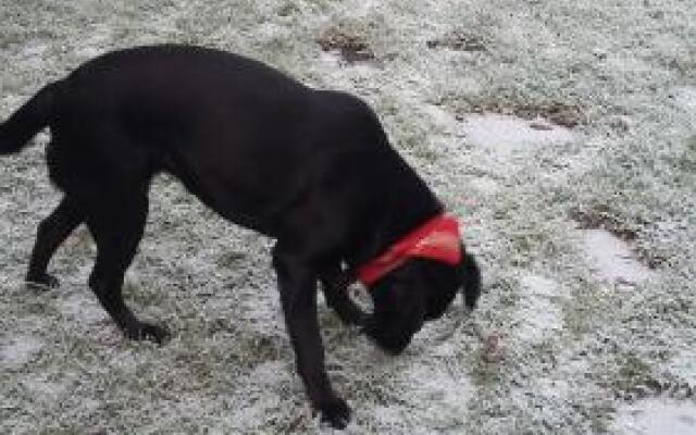 Casa da Quinta De S. Martinho